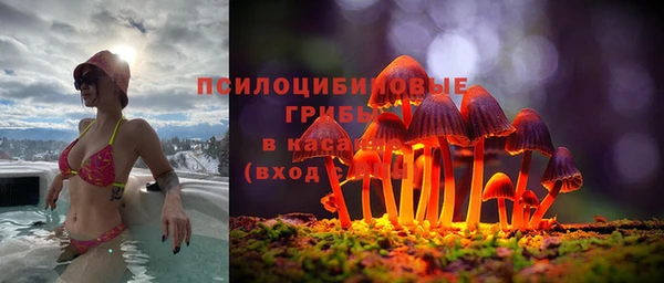 МДПВ Верея